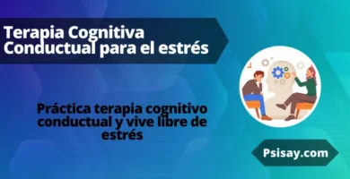 Terapia Cognitiva Conductual